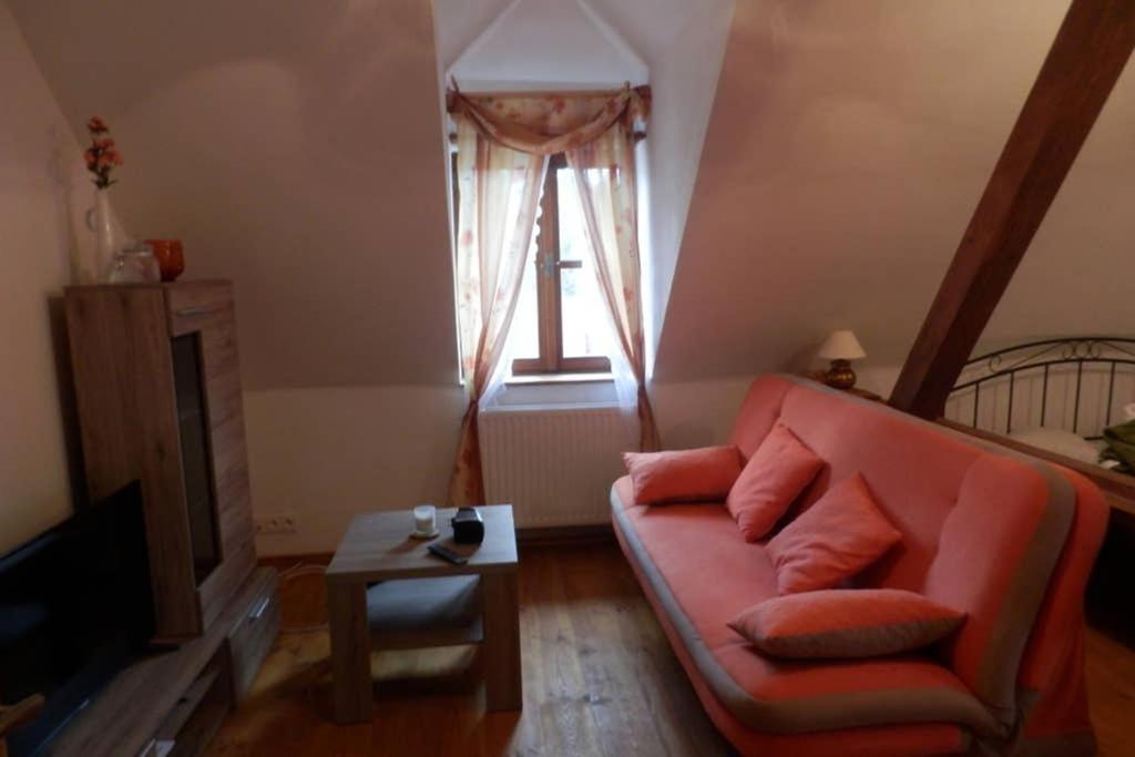 Zamecek Zdiky - Moderni Velky Apartman Bujanov Bagian luar foto